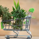 Buying weed online with chicago weed delivery and Chicago medical marijuana delivery